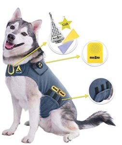 Husky dog wearing a "Cozy Vest" with included accessories