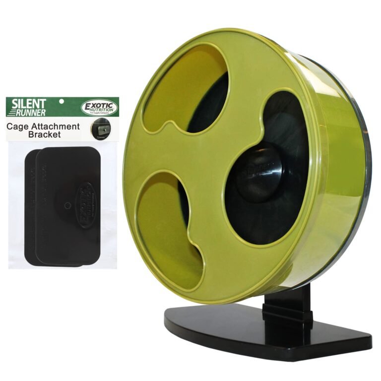 Green and black silent running wheel for small pets, with attachment bracket