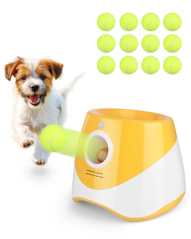 Dog with tennis ball, automatic ball launcher, and tennis balls