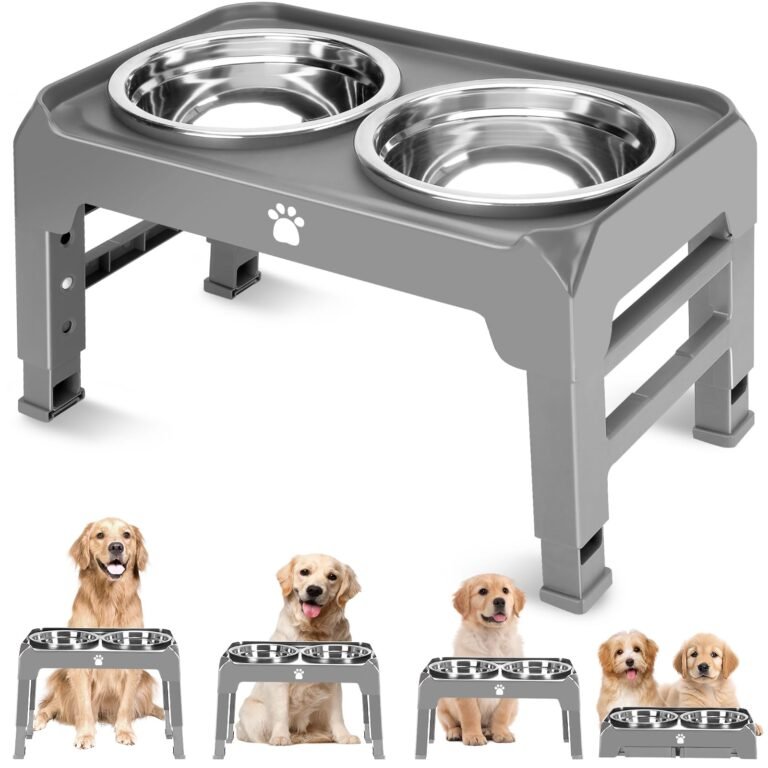 Elevated double dog bowl stand with stainless steel bowls and paw print