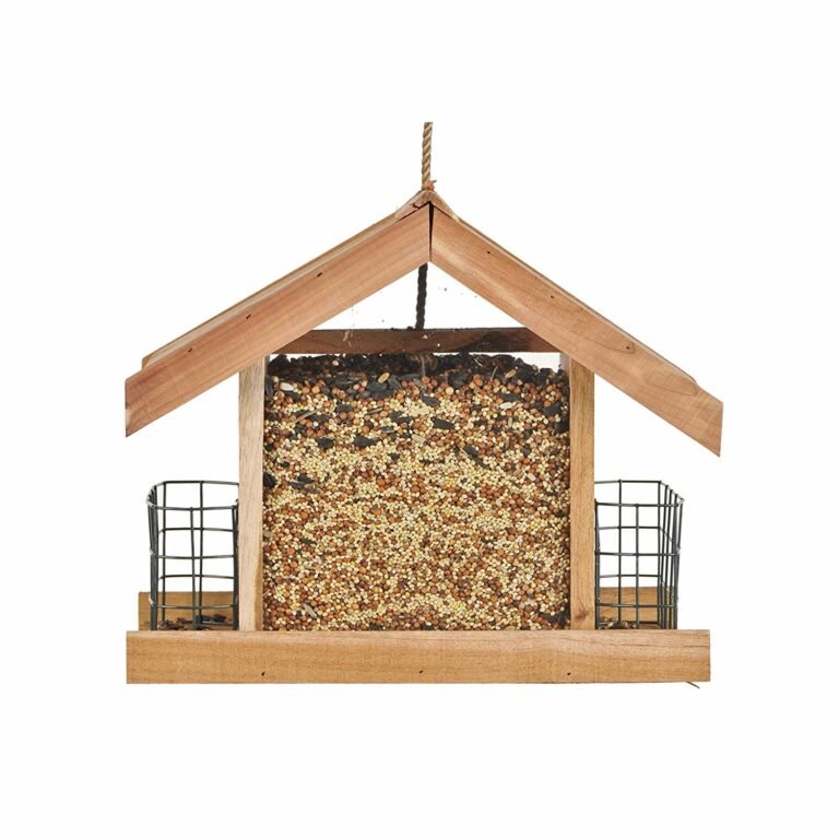 Wooden bird feeder filled with seeds, with wire cages on sides