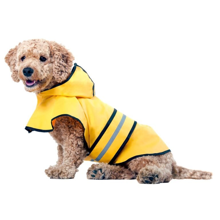 Dog wearing a yellow raincoat with reflective stripes, sitting on white background