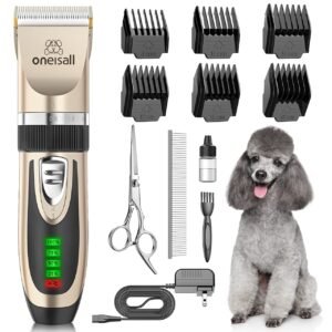 Dog grooming kit with clippers, accessories, and a happy poodle