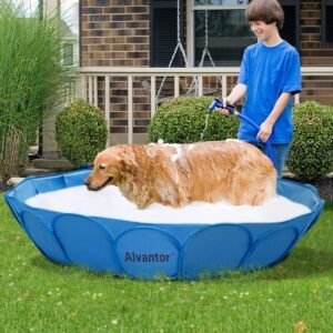Boy washing a golden retriever in a blue dog pool with soap