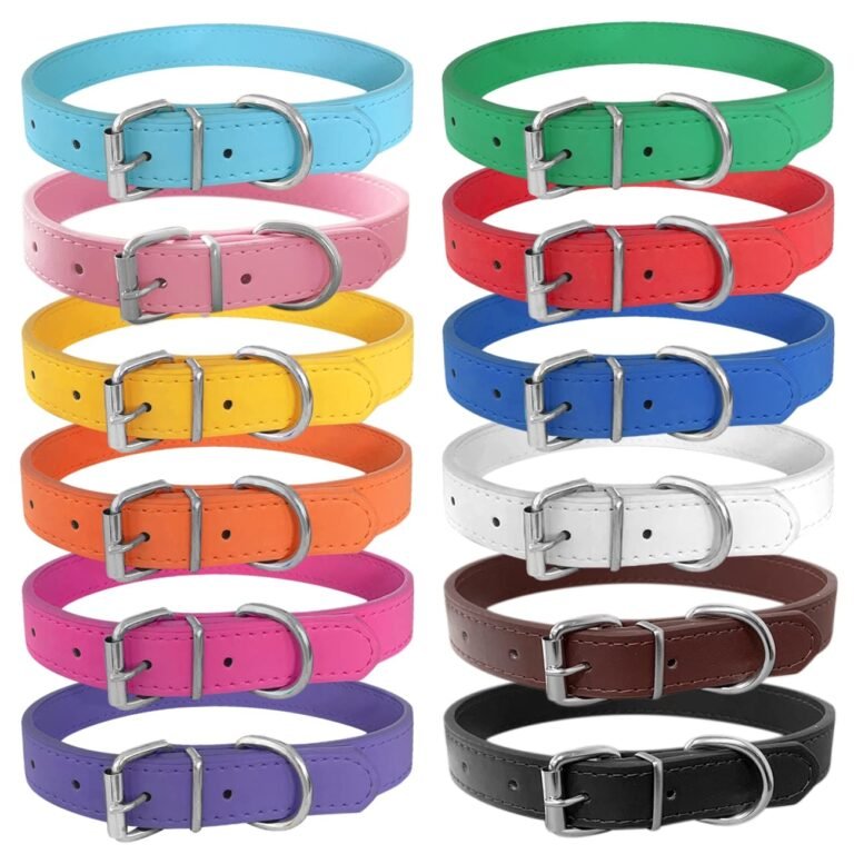 Colorful leather dog collars with metal buckles arranged in rows