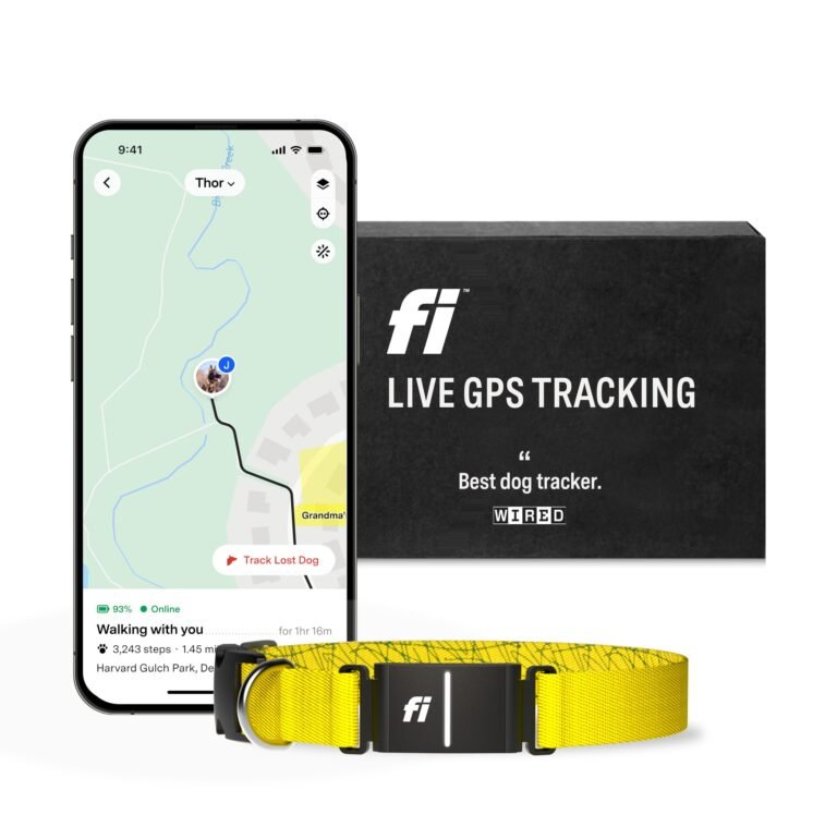 Dog GPS tracker with phone app, box, and yellow collar