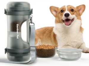 Corgi dog with pet food and water bowl next to a travel container