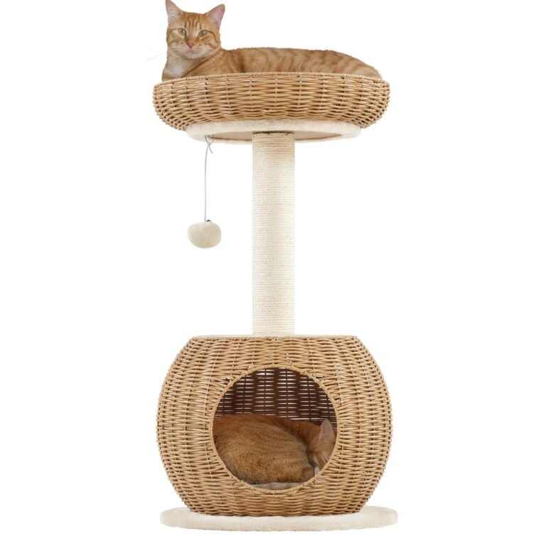 Two cats on a wicker cat tree, one sleeping, one lounging