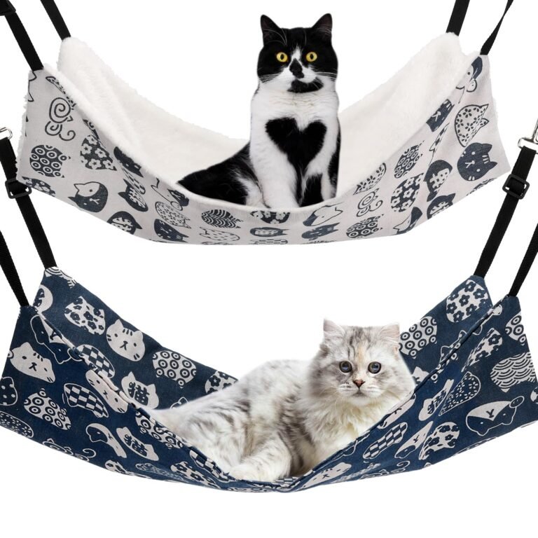 Two cats in patterned hammocks, one black and white, one gray