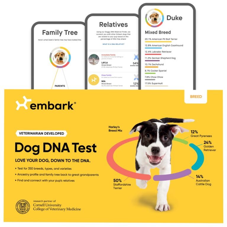 Dog DNA test graphic with a dog, breed percentages, and family tree examples