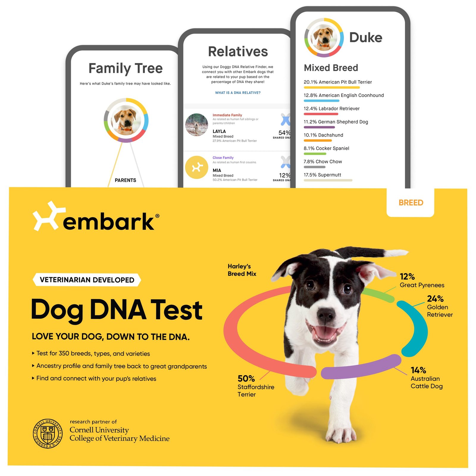 Dog DNA test graphic with a dog, breed percentages, and family tree examples