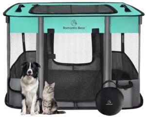 Dog and cat sitting in front of a teal and gray pet playpen