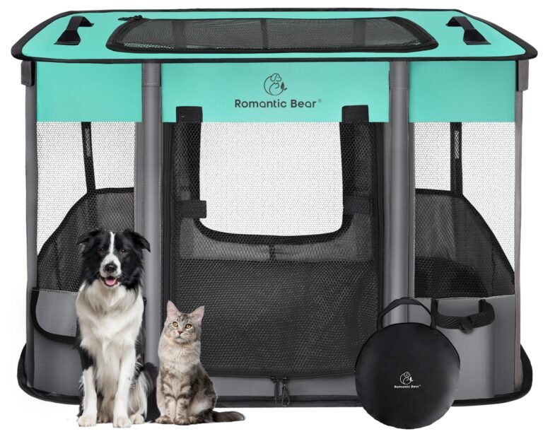 Dog and cat sitting in front of a teal and gray pet playpen