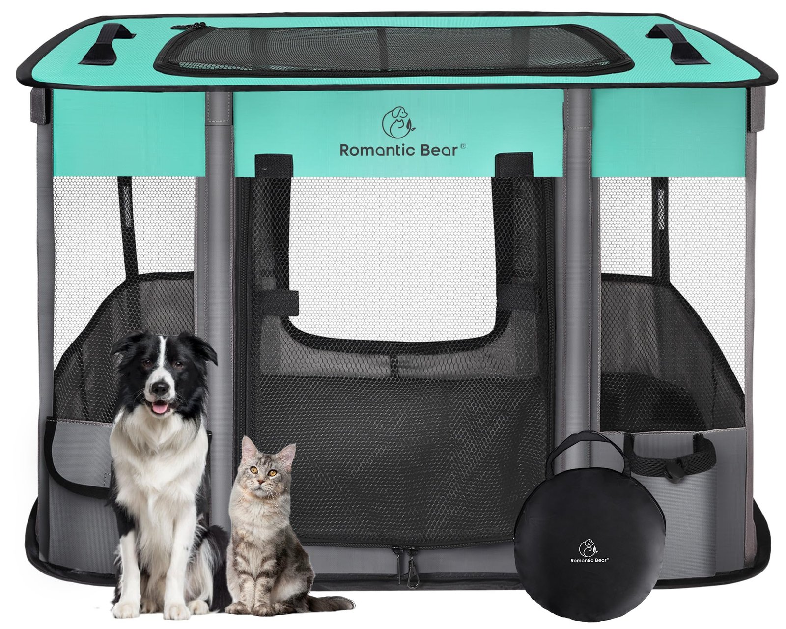 Dog and cat sitting in front of a teal and gray pet playpen