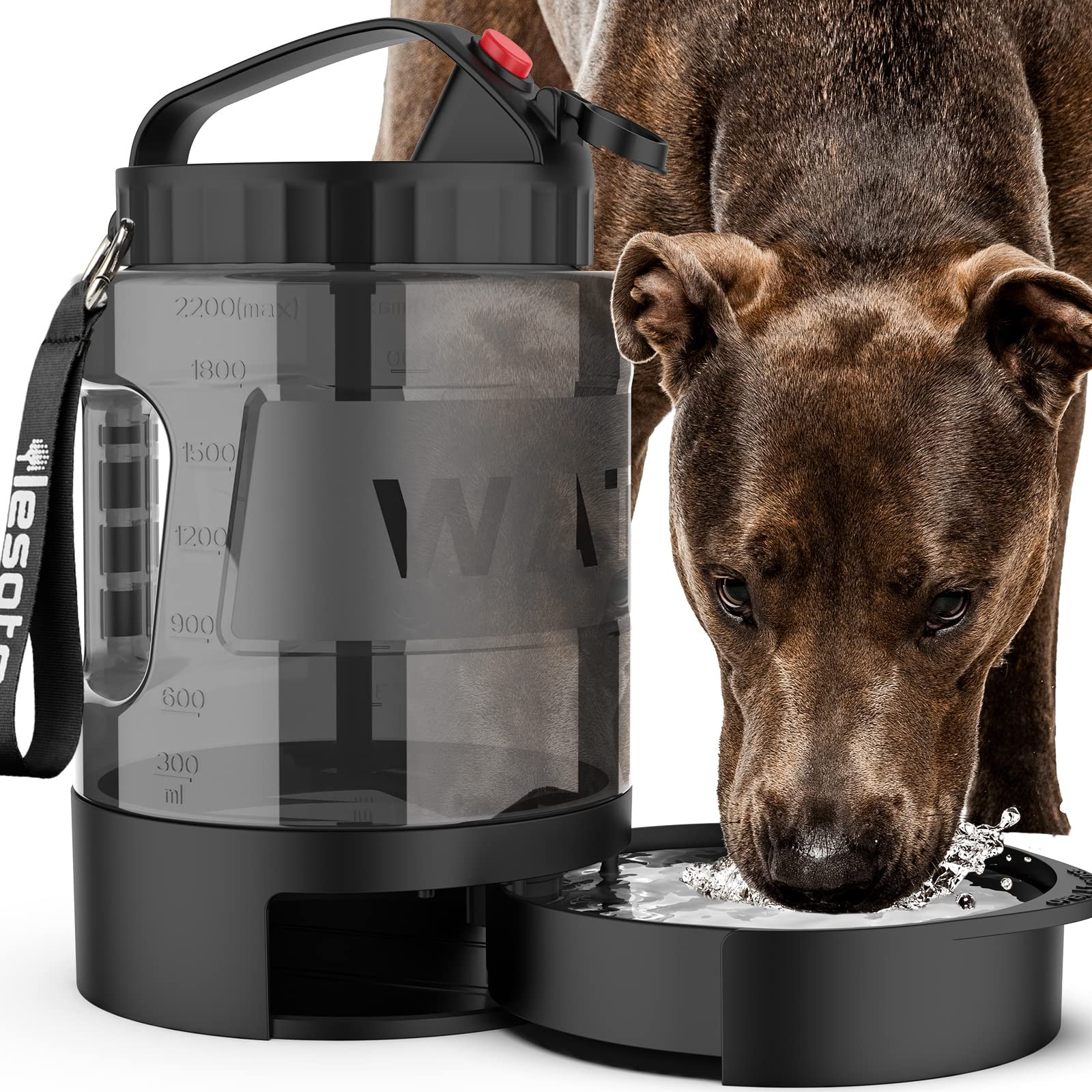 Dog drinking from a water bowl attached to a large water bottle