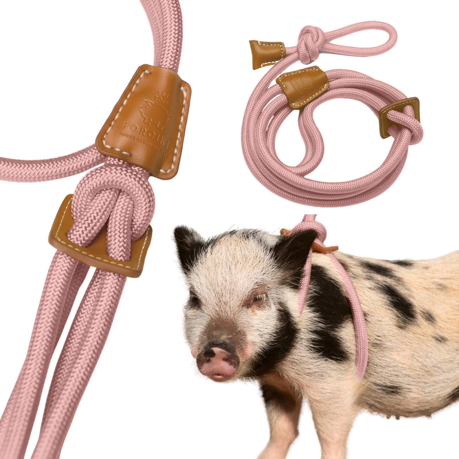 Pink pig harness with leather accents, next to a spotted piglet