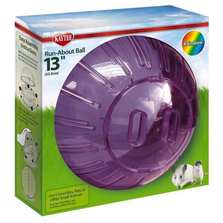 Box of Kaytee Run-About Ball for small animals, purple, 13 inches