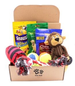 Dog box filled with treats, toys, and a monkey plush