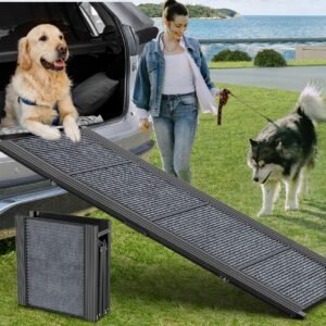 Woman with dogs and ramp for car on grassy field