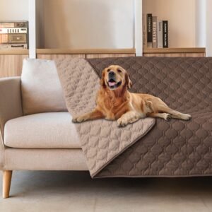 Golden retriever dog lying on a sofa with a quilted cover